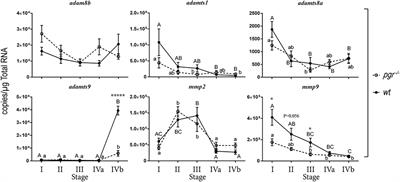 Progestin and Nuclear Progestin Receptor Are Essential for Upregulation of Metalloproteinase in Zebrafish Preovulatory Follicles